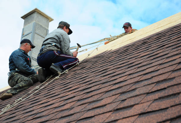 Tile Roofing Contractor in Dolton, IL